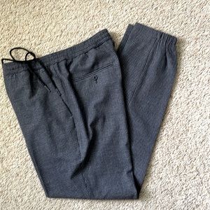 Express Dressy Joggers